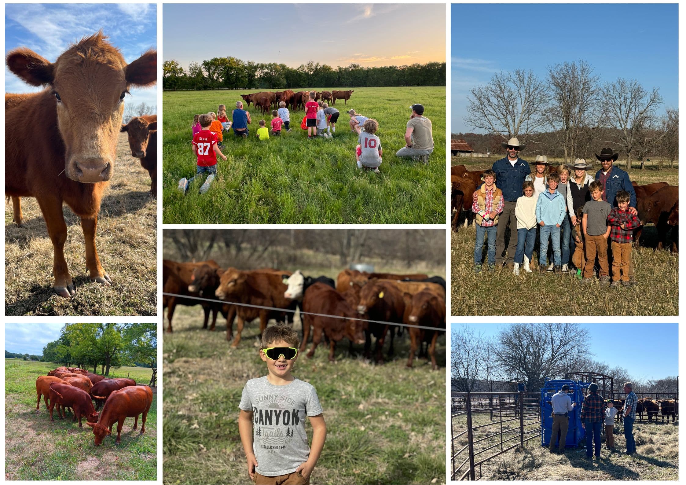 What's Going Down at the Farm