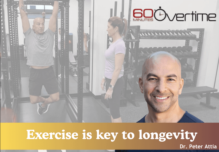 November 2025 Newsletter